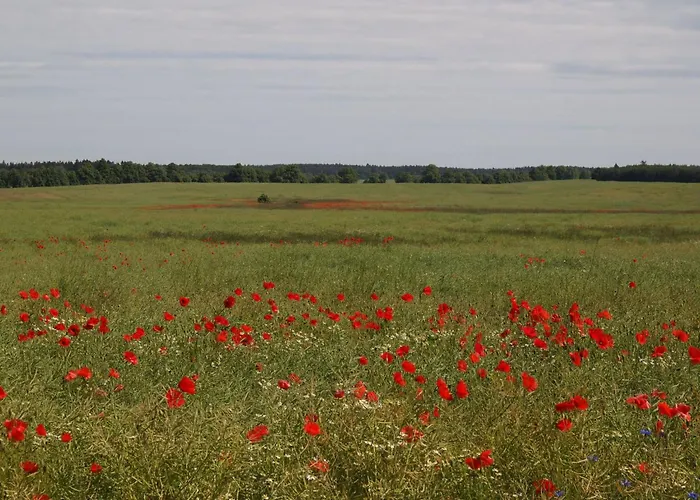 Vakantiehuis In Idylischer Lage By Interhome *